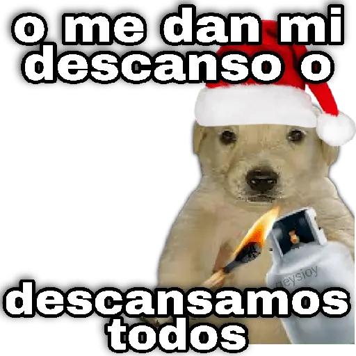 Santa Claus 🎅🎁 Quien pidió ?✨🎁