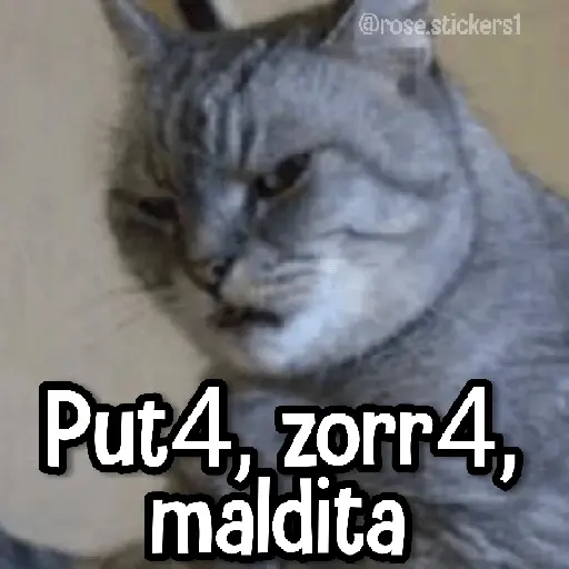 Gatitos pa tu Wsp 3😼🫰🏻