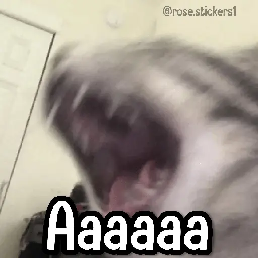 Gatitos pa tu Wsp 3😼🫰🏻