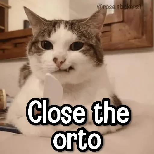Gatitos pa tu Wsp 3😼🫰🏻