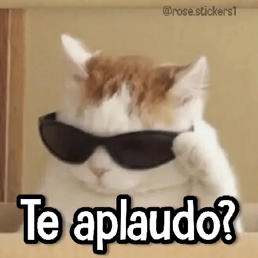 Gatitos pa tu Wsp 3😼🫰🏻