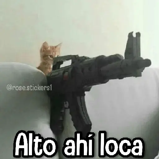 Gatitos pa tu Wsp 3😼🫰🏻