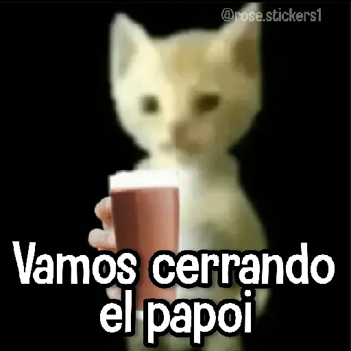 Gatitos pa tu Wsp 3😼🫰🏻