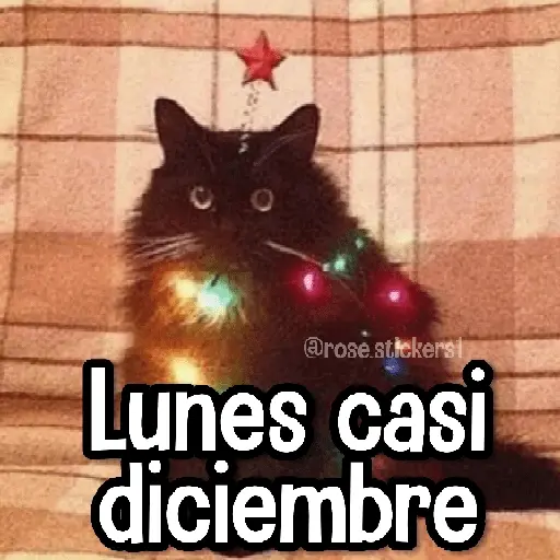 Gatitos pa tu Wsp 3😼🫰🏻