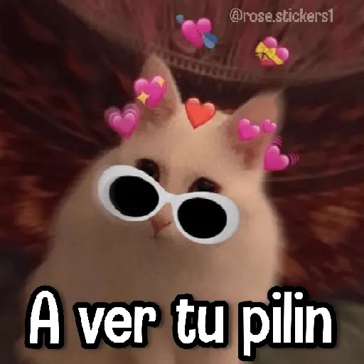Gatitos pa tu Wsp 3😼🫰🏻