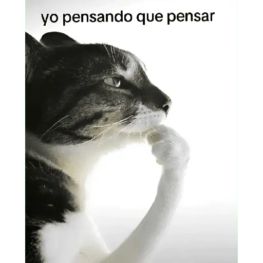 ave mayo por siempre 