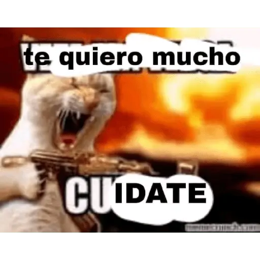 ave mayo por siempre 