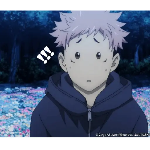 jujutsu kaisen