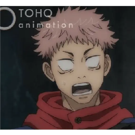 jujutsu kaisen