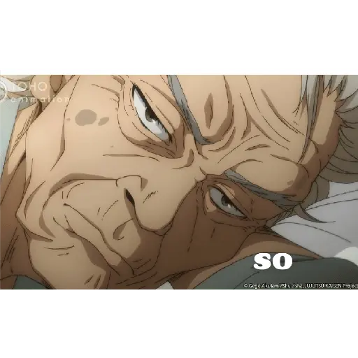 jujutsu kaisen
