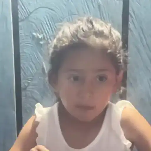 🔥TIKTOK RAMDON 2.6📲