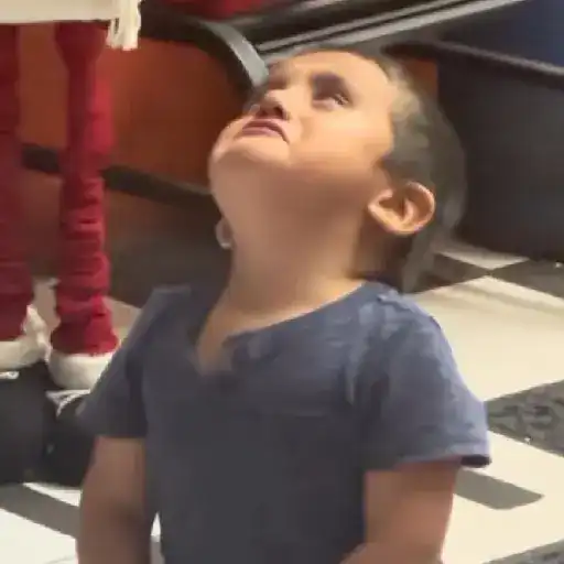 🔥TIKTOK RAMDON 2.6📲