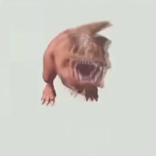 🔥TIKTOK RAMDON 2.6📲