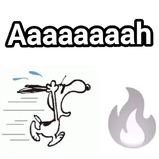 🔥TIKTOK RAMDON 2.6📲