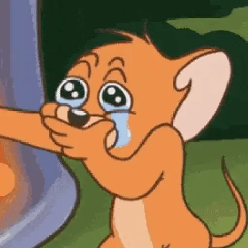 🔥TIKTOK RAMDON 2.6📲