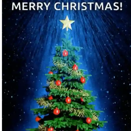 🎄 FELEZ NEVEDED 🎄