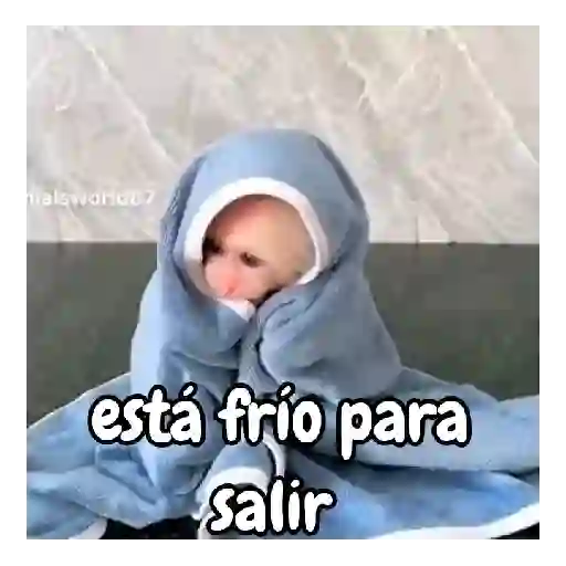 frío de monos 🙉❄️
