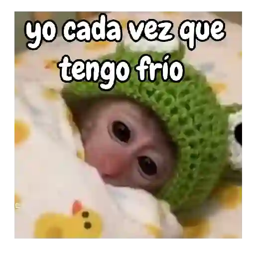 frío de monos 🙉❄️