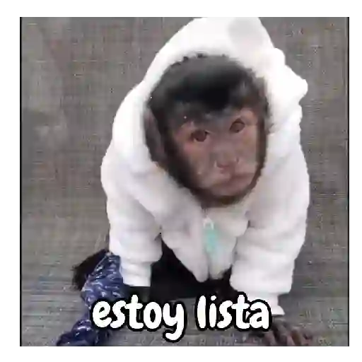 frío de monos 🙉❄️