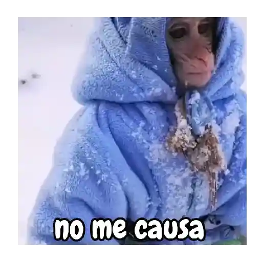 frío de monos 🙉❄️