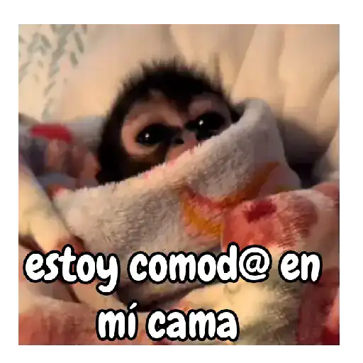 frío de monos 🙉❄️