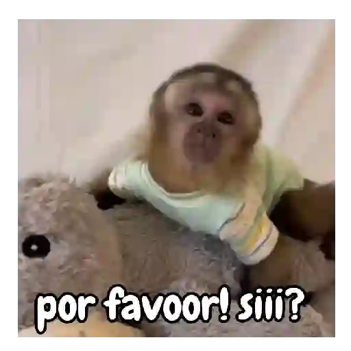 frío de monos 🙉❄️