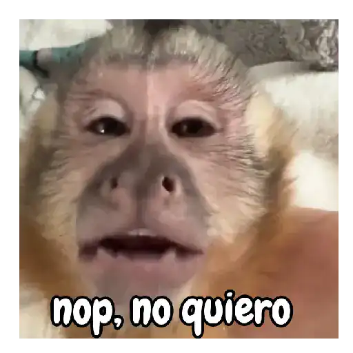 frío de monos 🙉❄️