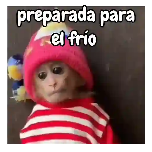 frío de monos 🙉❄️