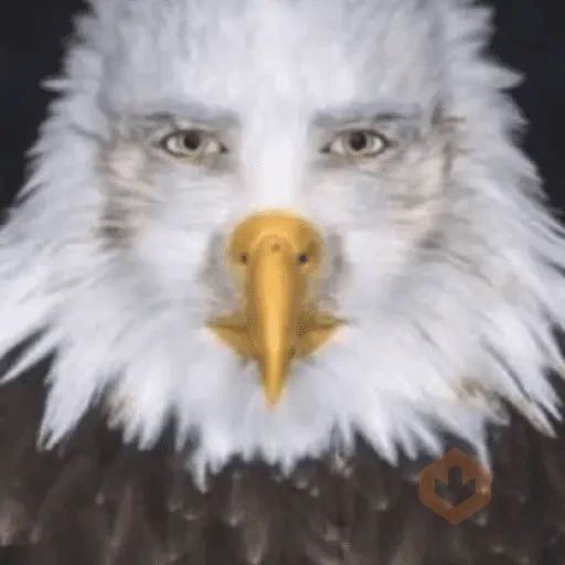 Tiktok meme sticker 29
