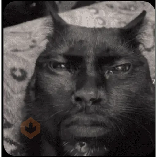 Tiktok meme sticker 25