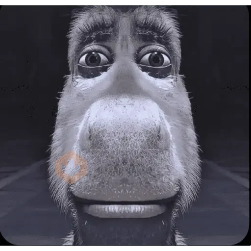 Tiktok meme sticker 26