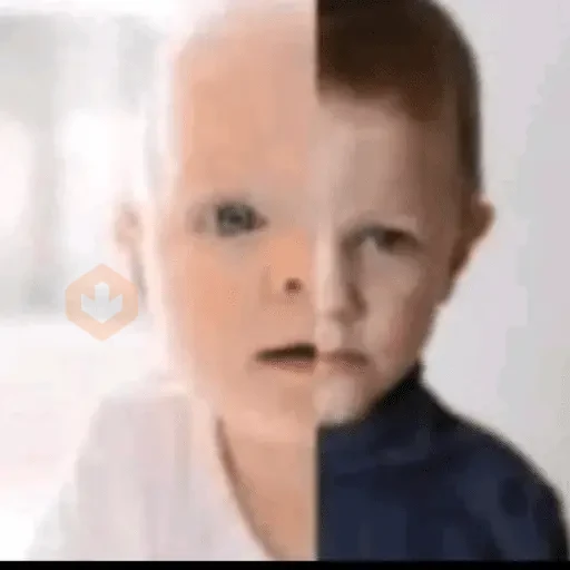 Tiktok meme sticker 12