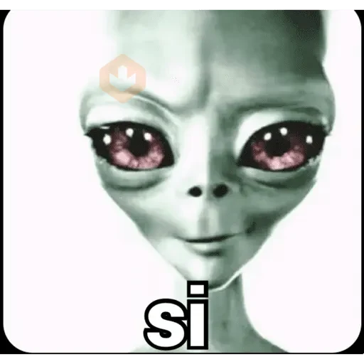 Tiktok meme sticker 27