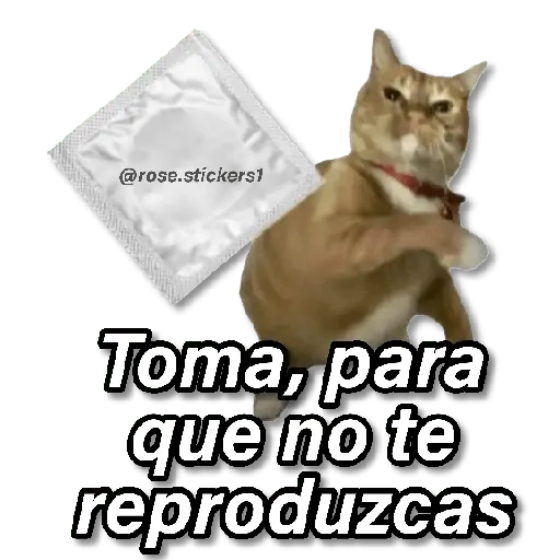 Memes Random❻ღ💫