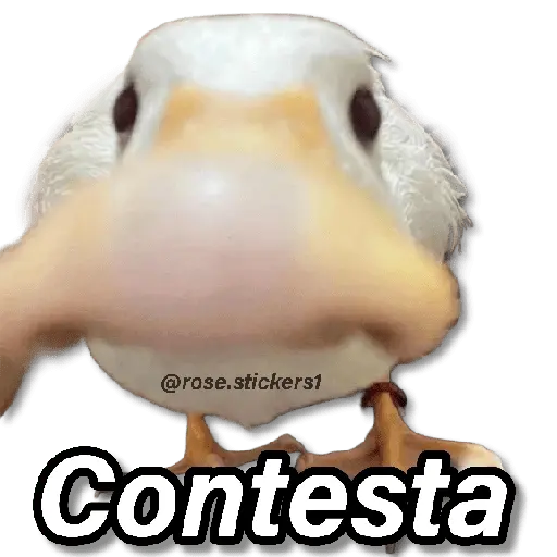 Memes Random❻ღ💫
