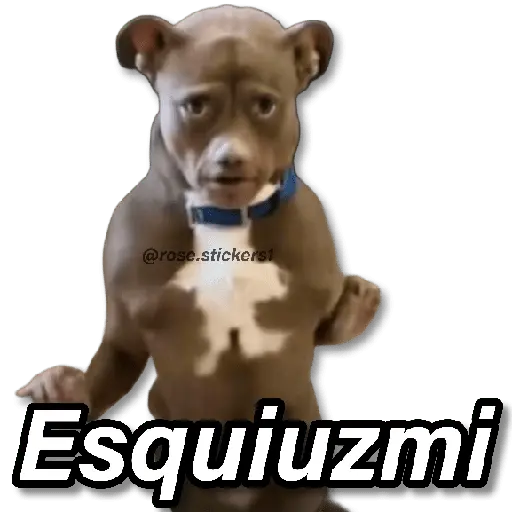 Memes Random❻ღ💫