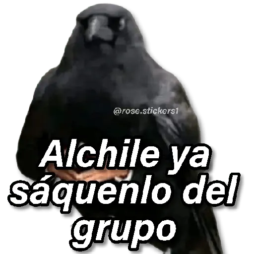 Memes Random❻ღ💫