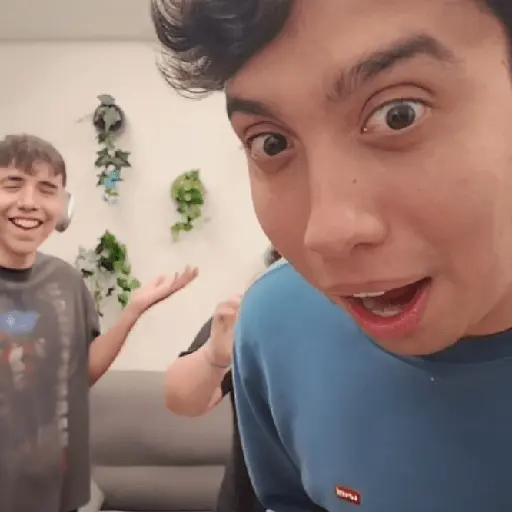 Los bros