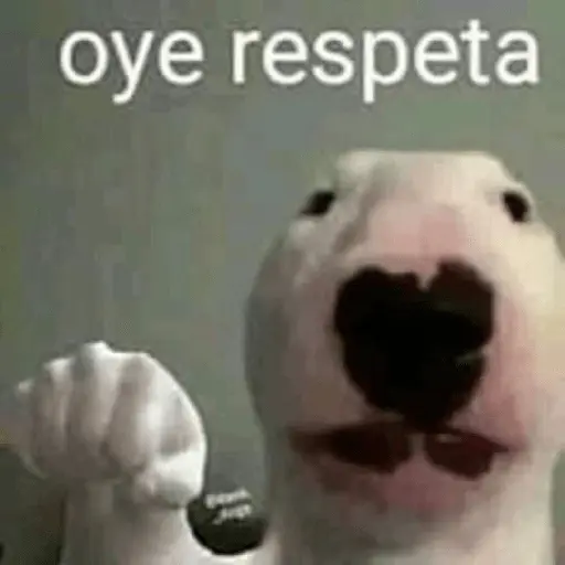 rene caeza puente