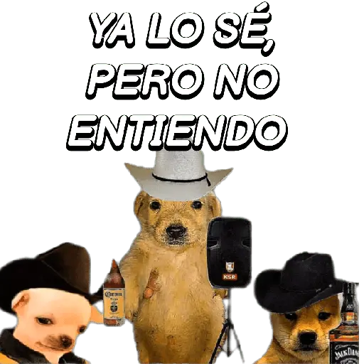 Eres Algo Inalcanzable 🎵🎼🎵