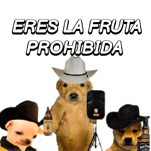 Eres Algo Inalcanzable 🎵🎼🎵
