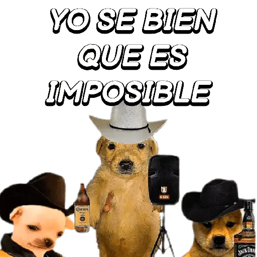 Eres Algo Inalcanzable 🎵🎼🎵