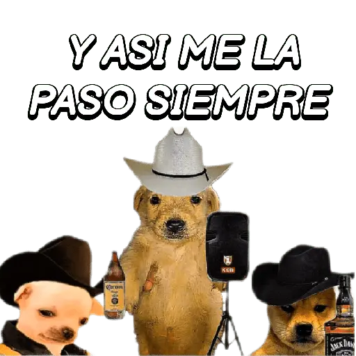 Eres Algo Inalcanzable 🎵🎼🎵