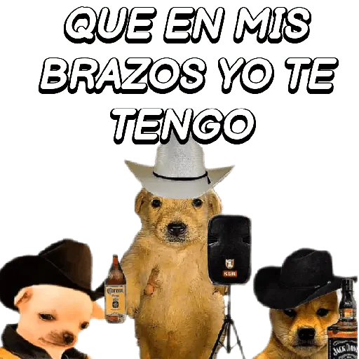 Eres Algo Inalcanzable 🎵🎼🎵