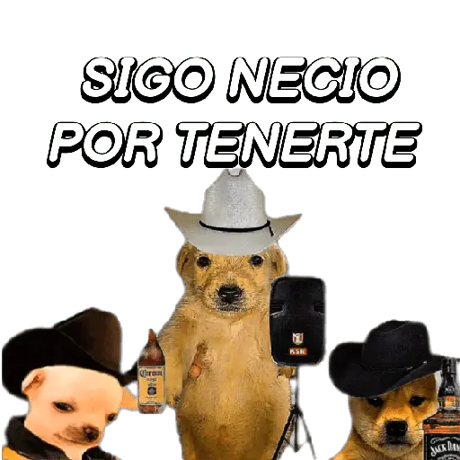 Eres Algo Inalcanzable 🎵🎼🎵