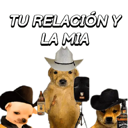 Eres Algo Inalcanzable 🎵🎼🎵