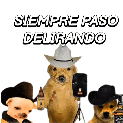 Eres Algo Inalcanzable 🎵🎼🎵