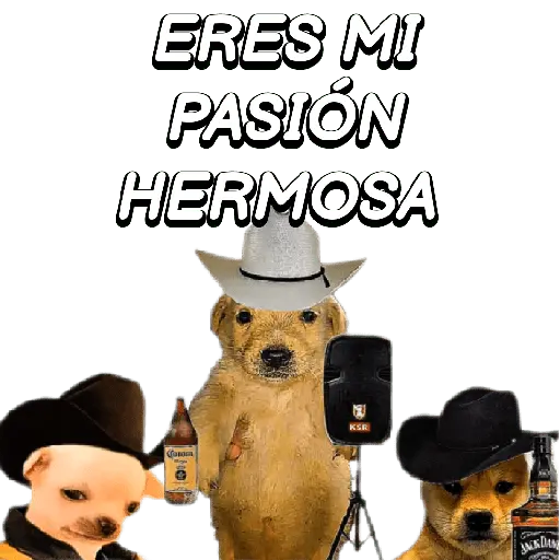 Eres Algo Inalcanzable 🎵🎼🎵