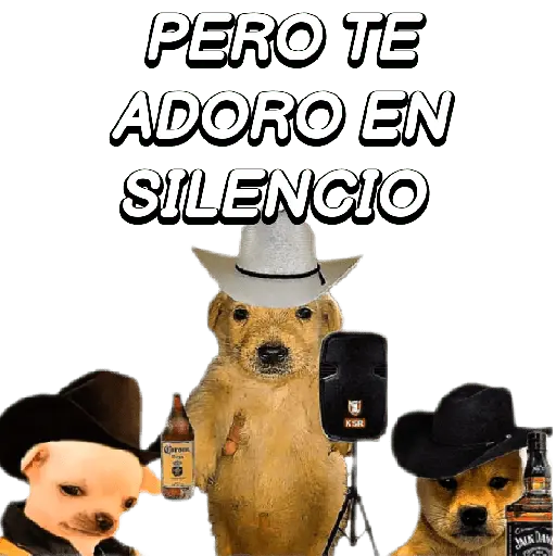 Eres Algo Inalcanzable 🎵🎼🎵