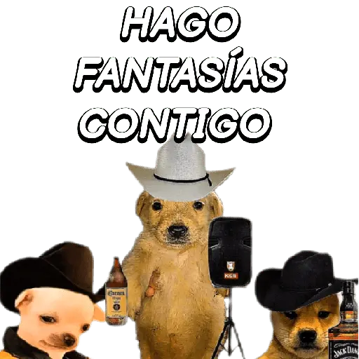 Eres Algo Inalcanzable 🎵🎼🎵